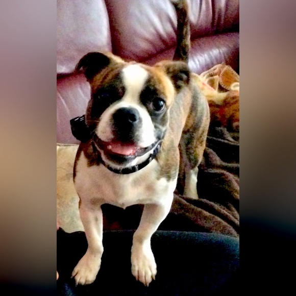 Meet your Posher, Michelle - Picture 1 of 3